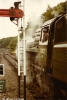 Bluebell_Railway_5_Aug_1980.jpg
